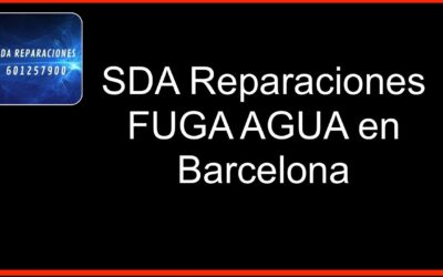 Reparación de Botes Sifónicos: Servicio sin Compromiso y Presupuesto Gratuito