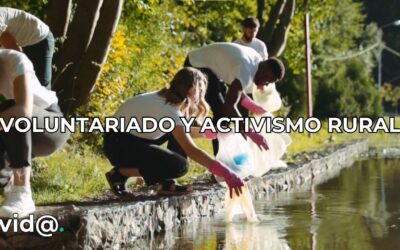Impacto Transformador del Voluntariado en Comunidades Locales